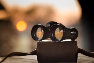 Here are the best binoculars to buy under $1000
